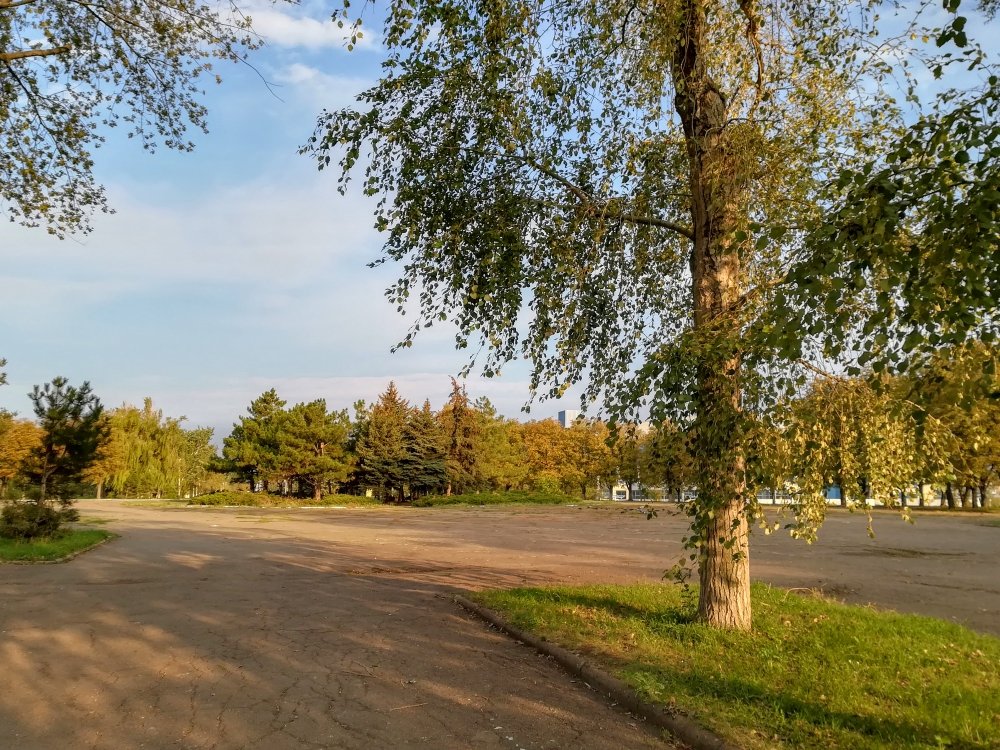 В парке - Дмитрий фотограф