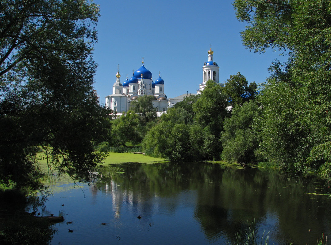 Свято-Боголюбский монастырь - Grey Bishop