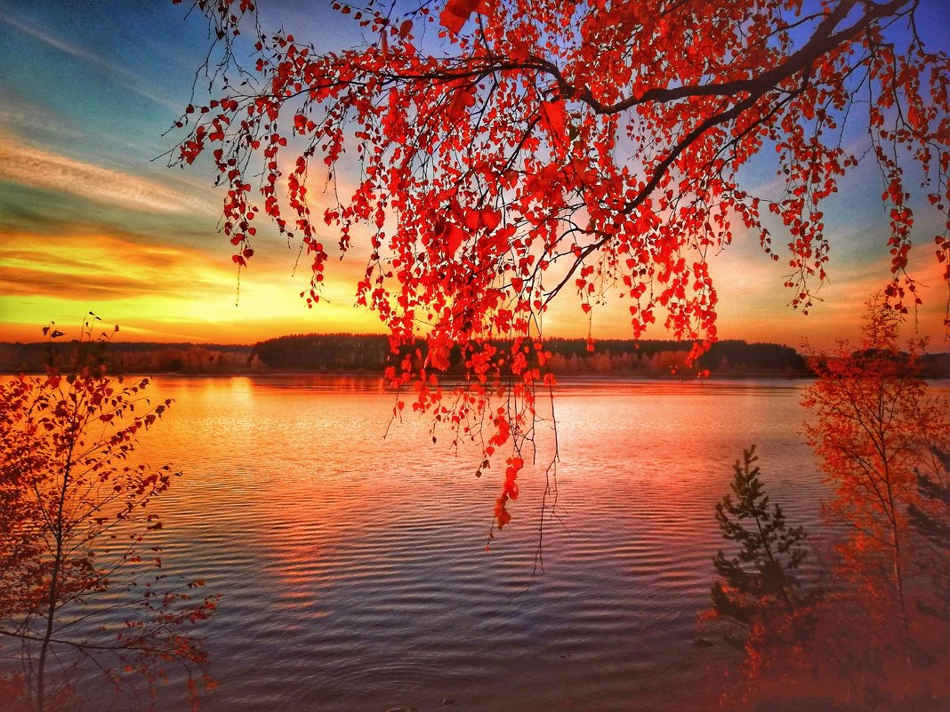 Осенний закат на реке Волге. Углич,Ярославская область - Леонид Абросимов