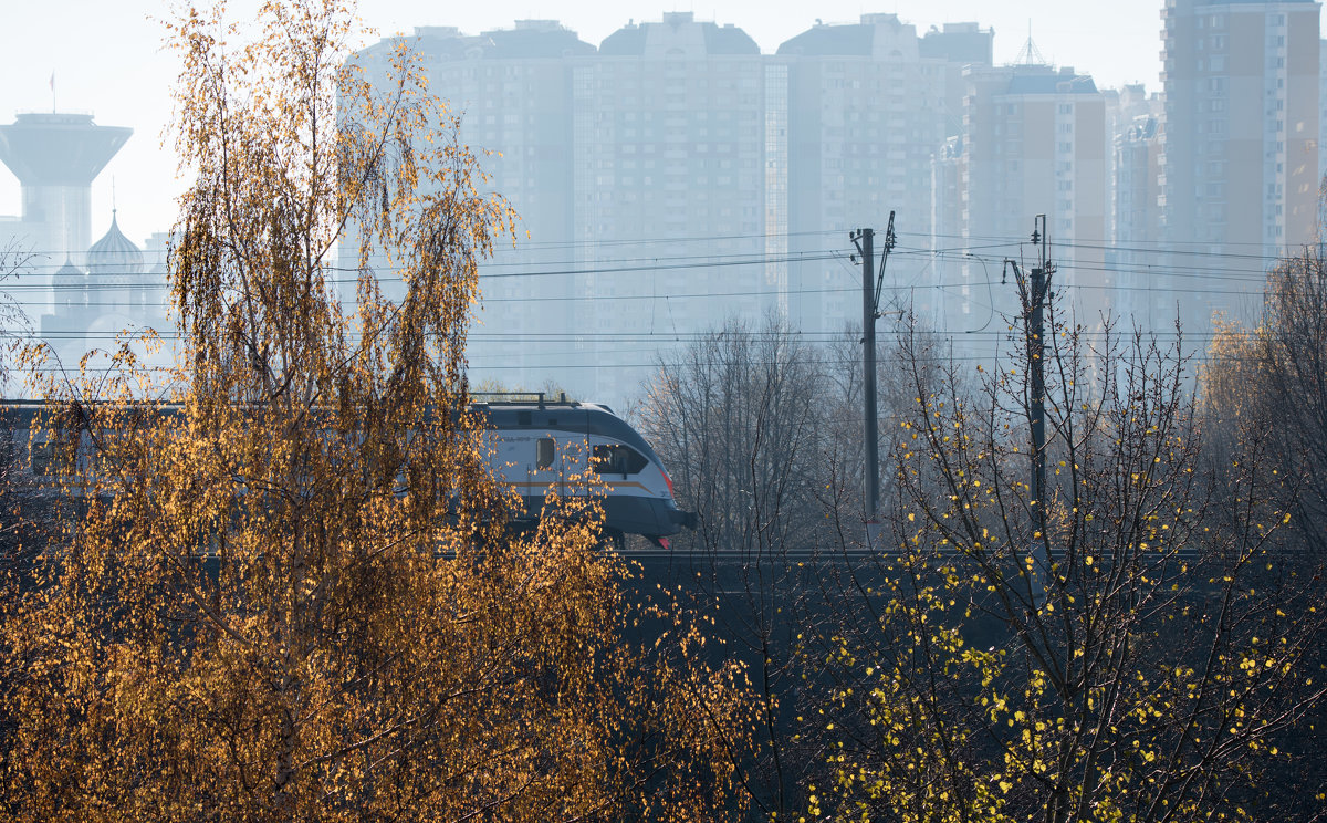 *** - Владимир Безбородов