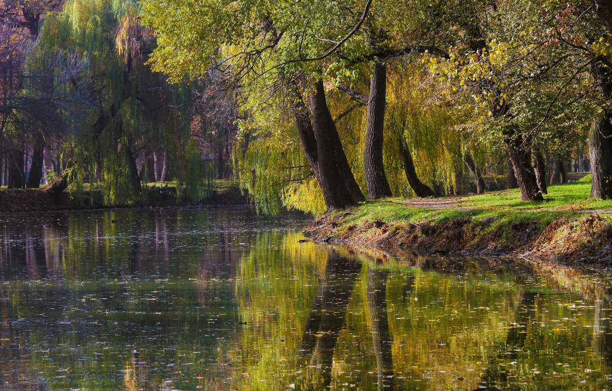 Была осень. - barsuk lesnoi