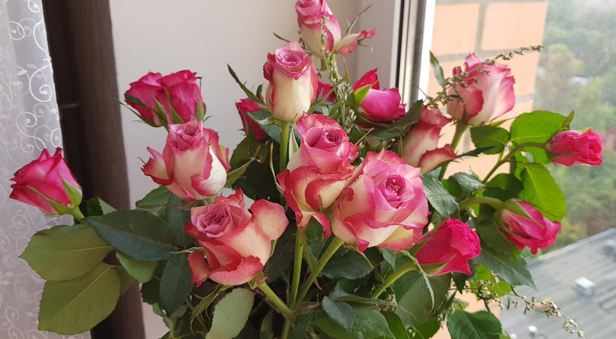 Розовые розы... - Anna Gornostayeva