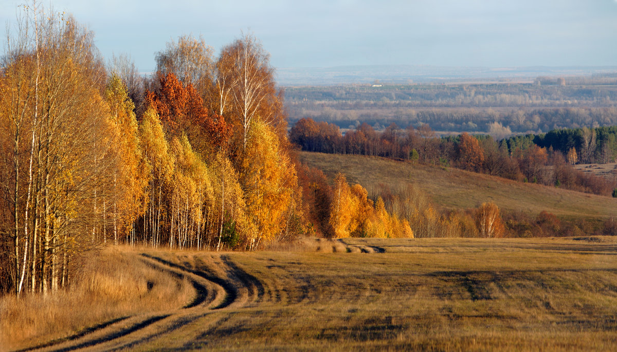 Родные просторы в закатных лучах - Olenka 