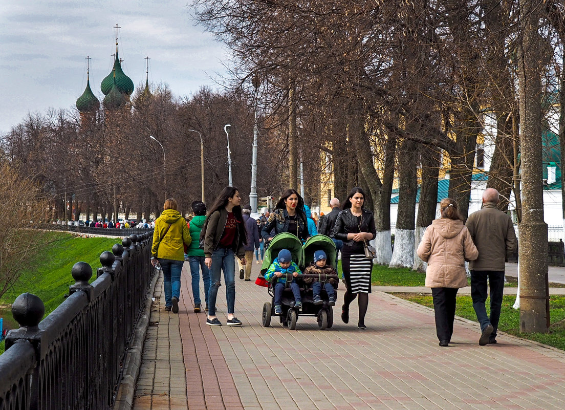 *** - Василий Петрович .