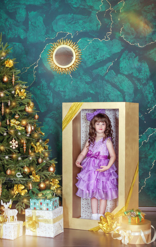 Новогодний проект Кукла - Tatyana Zholobova