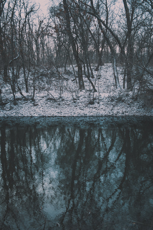 зимние отражения - Алина Гриб