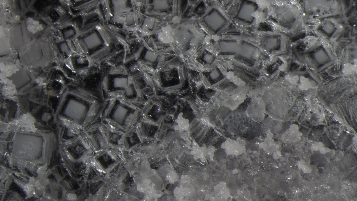 Кристаллы соли под микроскопом. - ИРЭН@ .