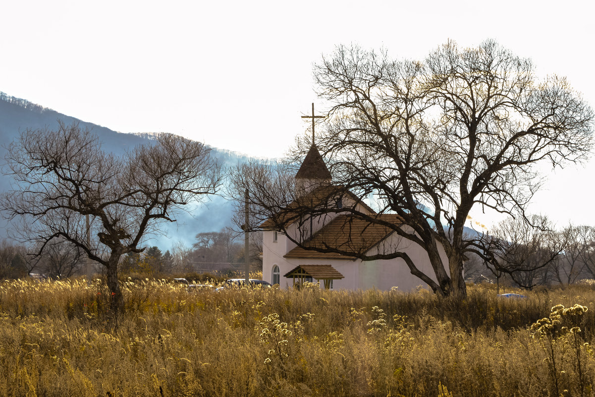 Романовка - Александр Куксин