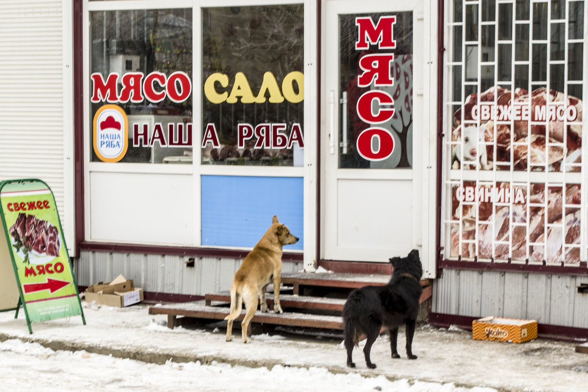 охотники за мясом - Александр 