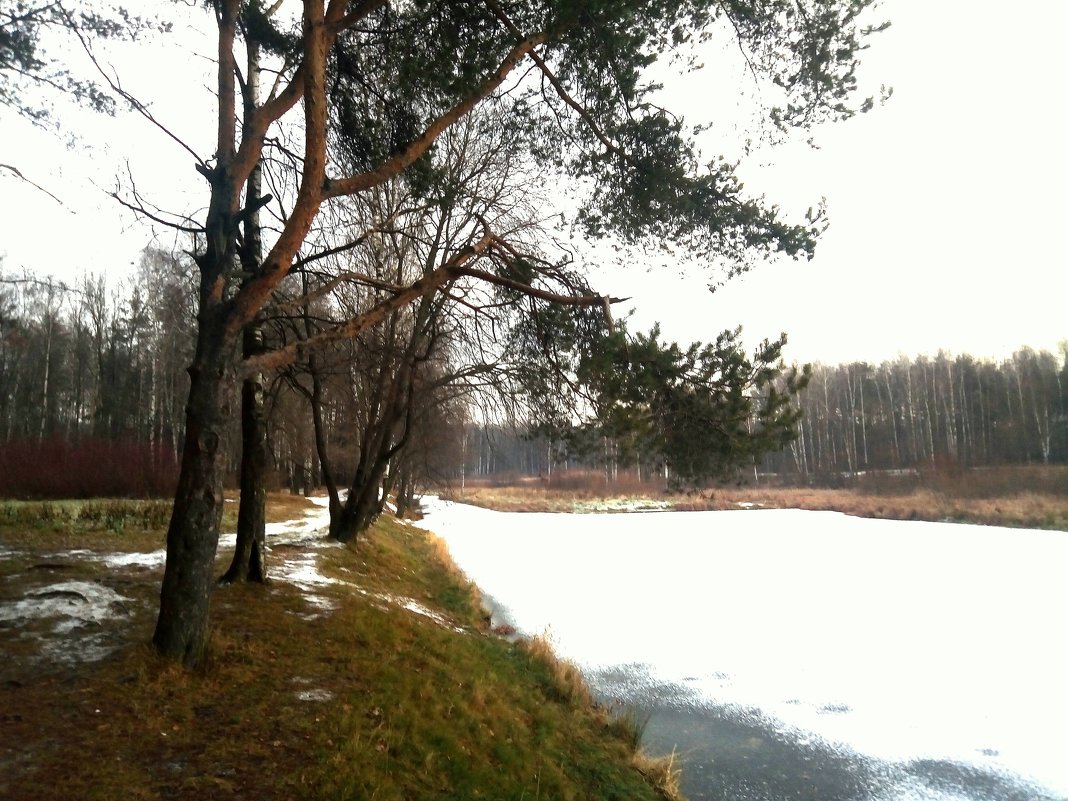 Замерзает река и от холода вся обрастает белым снегом и льдинками зыбкими - Елена Павлова (Смолова)