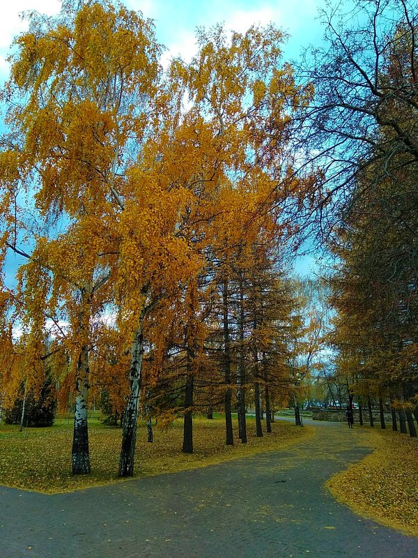 Осенний парк ... - Татьяна Котельникова