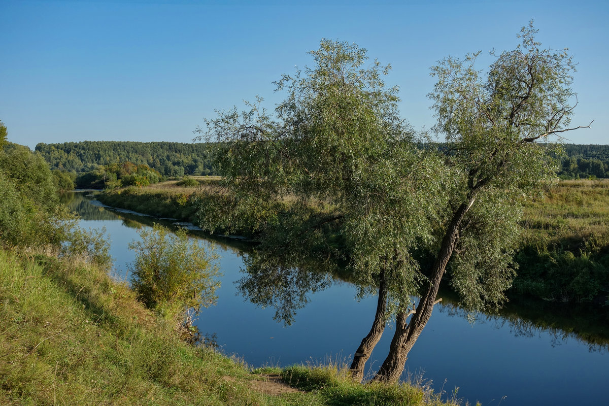 Река Бабка - Алексей Сметкин