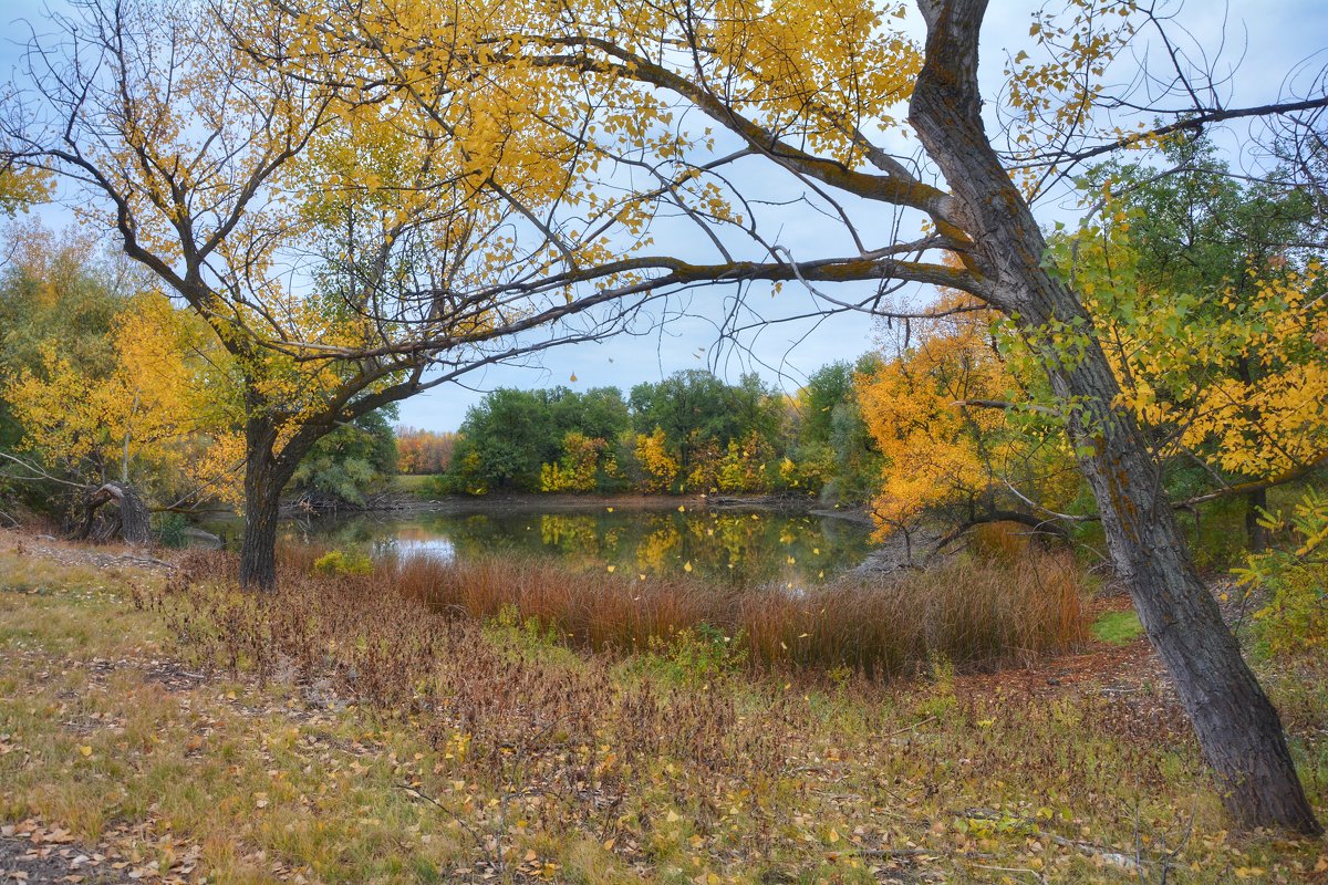 Осень - Денис Козьяков