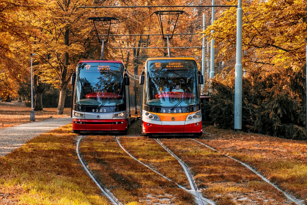 Two trams in the autumn park - Dmitry Ozersky