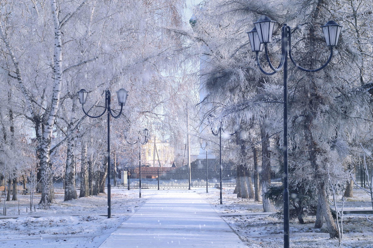 Зимняя красота - Nastya 777