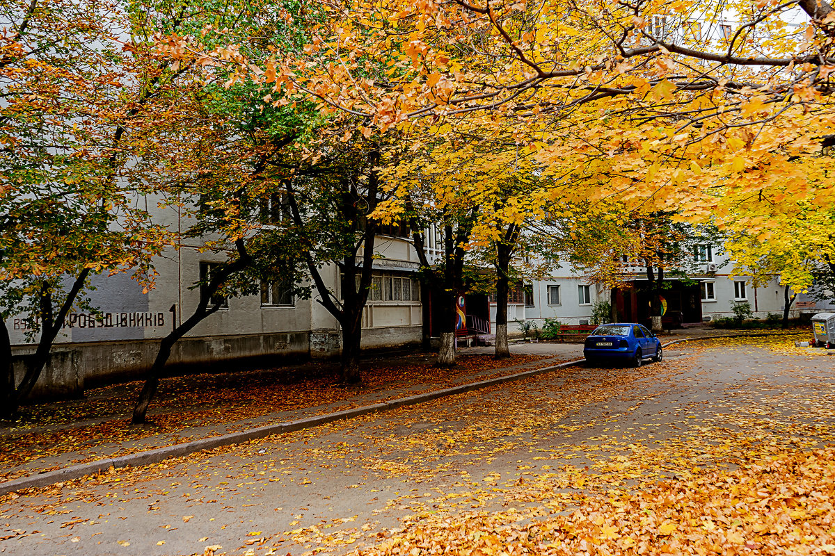Осень во дворе - Владимир Кроливец