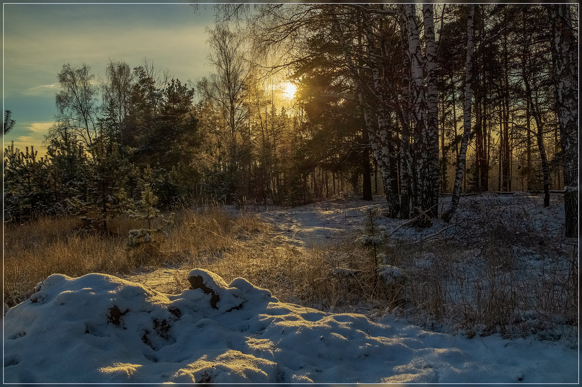 Первый день зимы № 2 - Андрей Дворников
