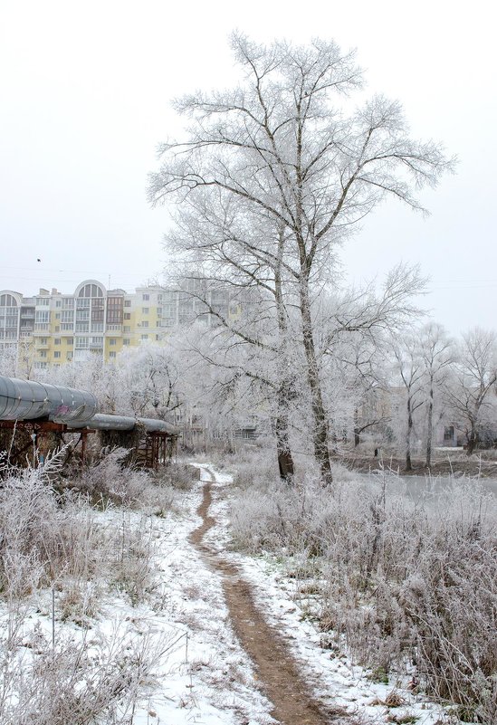 Зима в городе - Сергей Тарабара