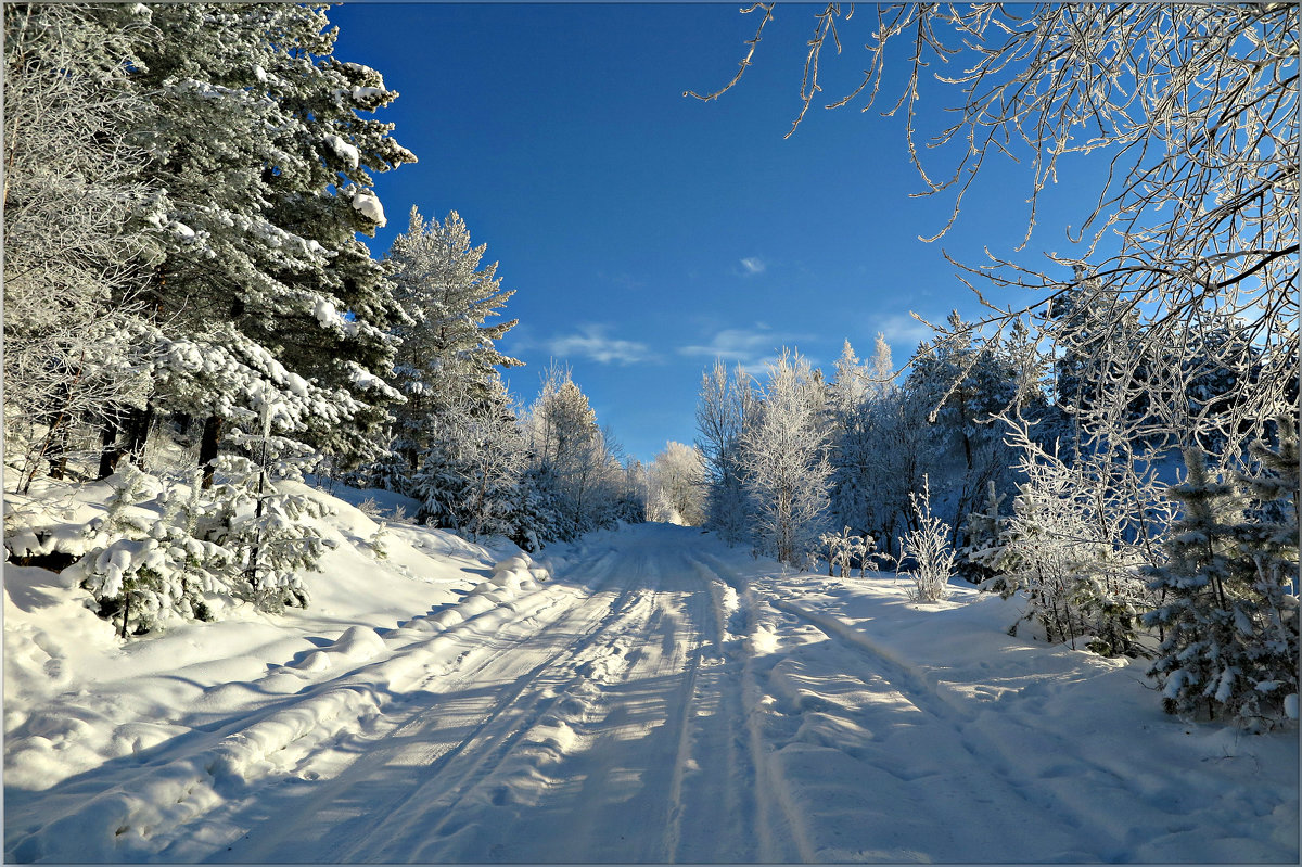 Зимняя дорога - Leonid Rutov
