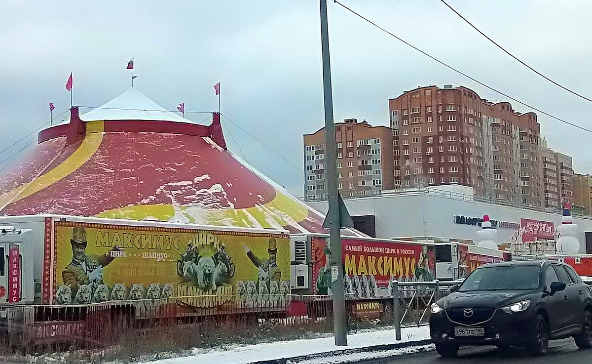 Цирк в Раменском - Елена 