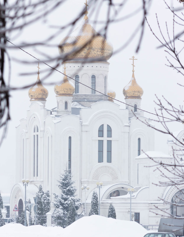 Снежное утро - Ирина Холодная