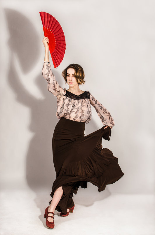 Flamenco Style - Виталий Шевченко