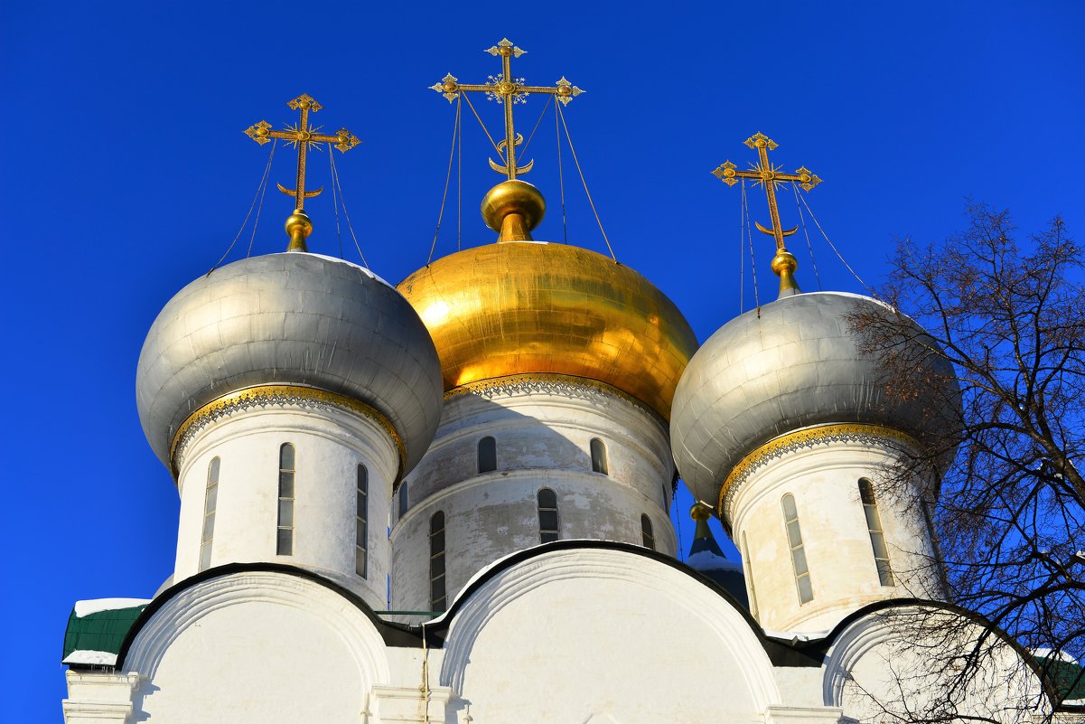 Новодевичий монастырь - Константин Анисимов