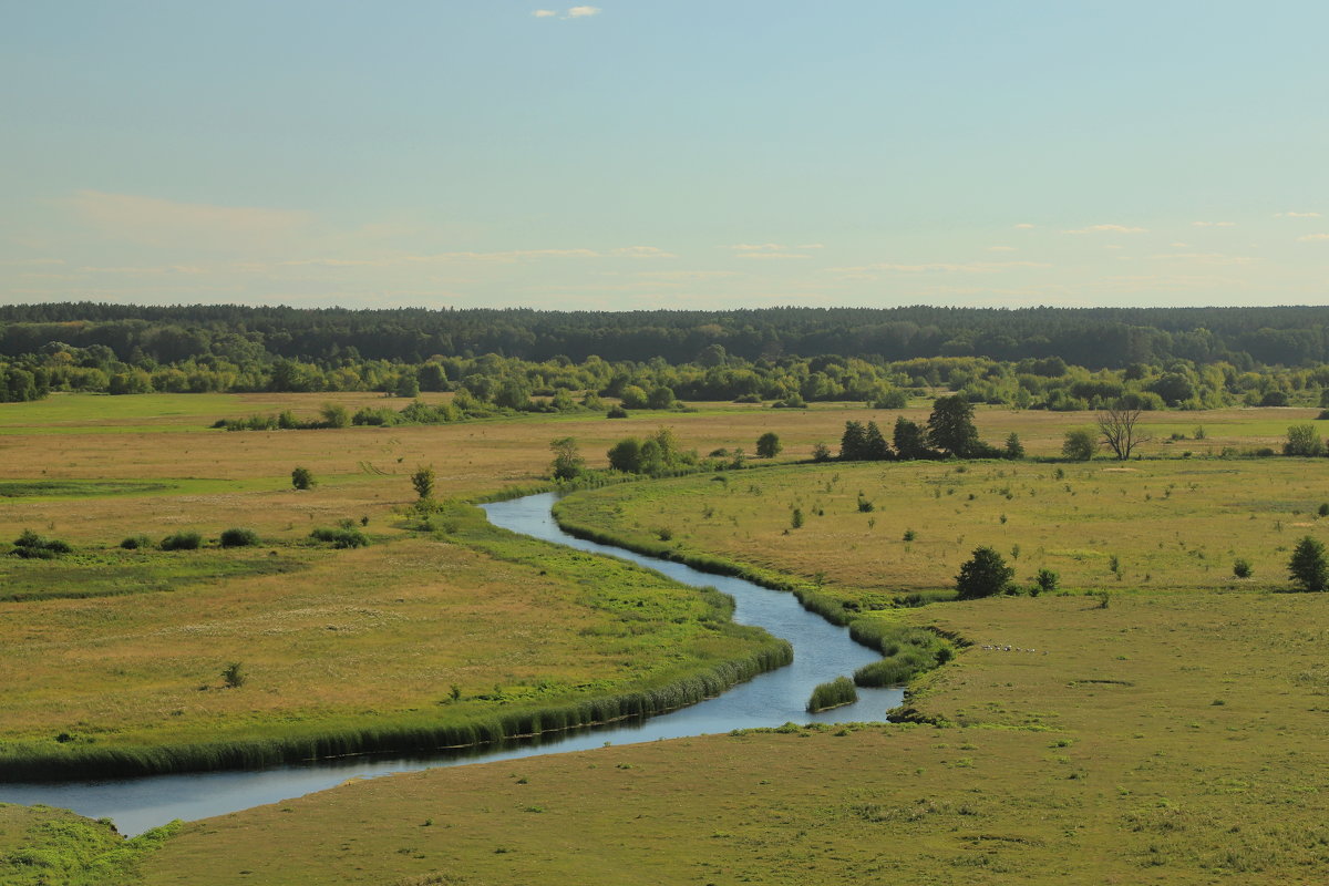 река Сейм - Светлана 