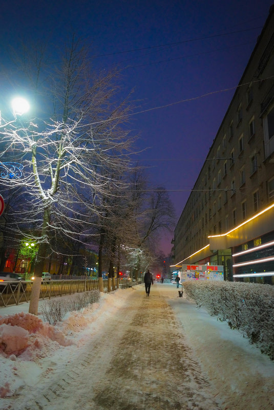 Зима в уличном свете - Евгения Кирильченко