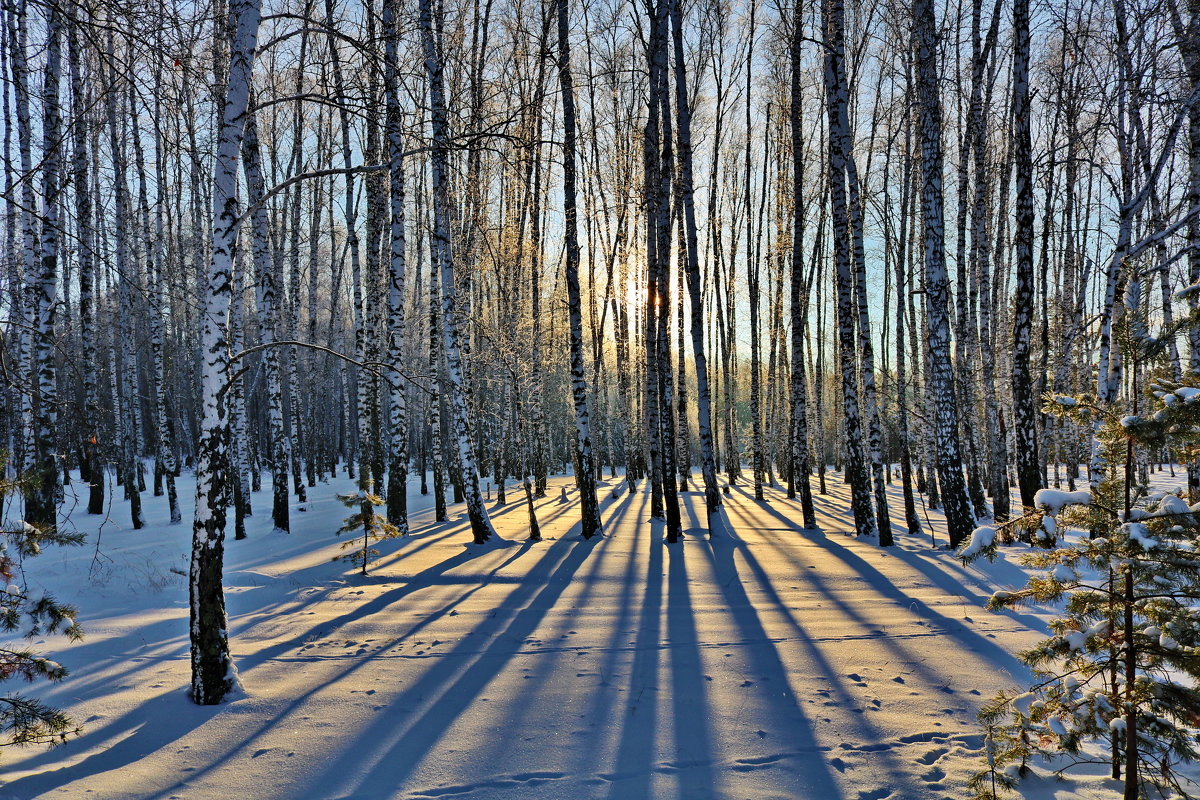 Зима 2018. - Андрей (Skiff) Звонарёв