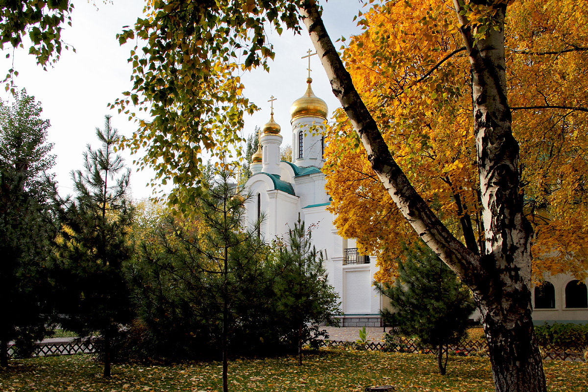 Осенний день.  Тольятти. Самарская область - MILAV V