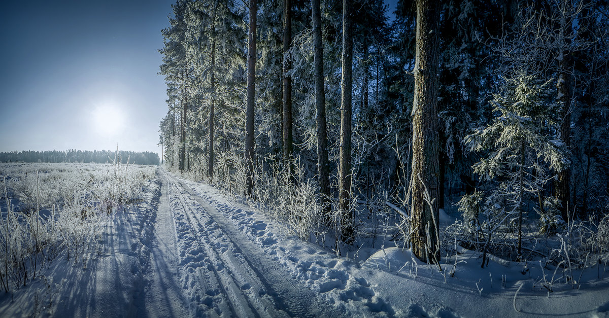 Морозное утро - Алексей Строганов