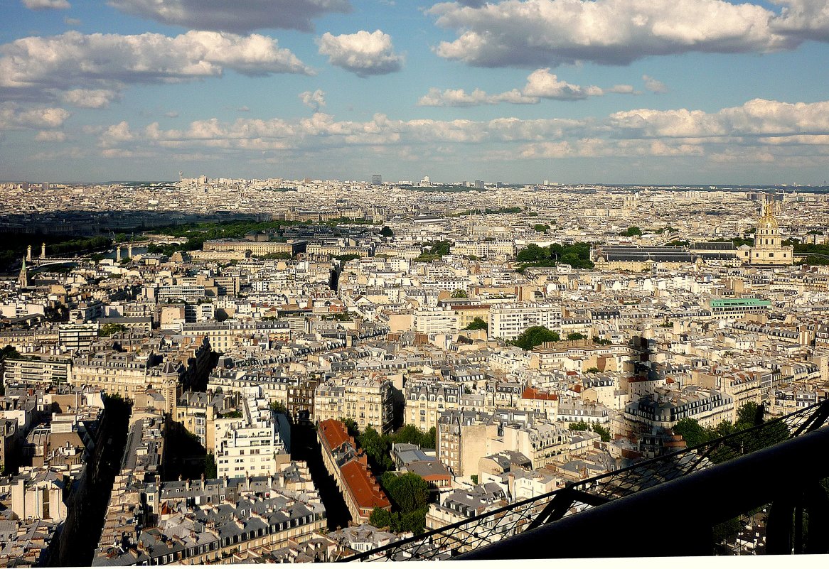 Париж с высоты Эйфелевой башни - Ольга 