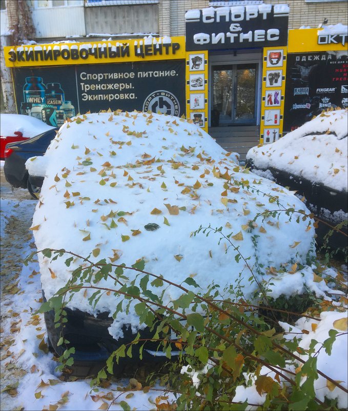 Утеплительный чехол! - Надежда 