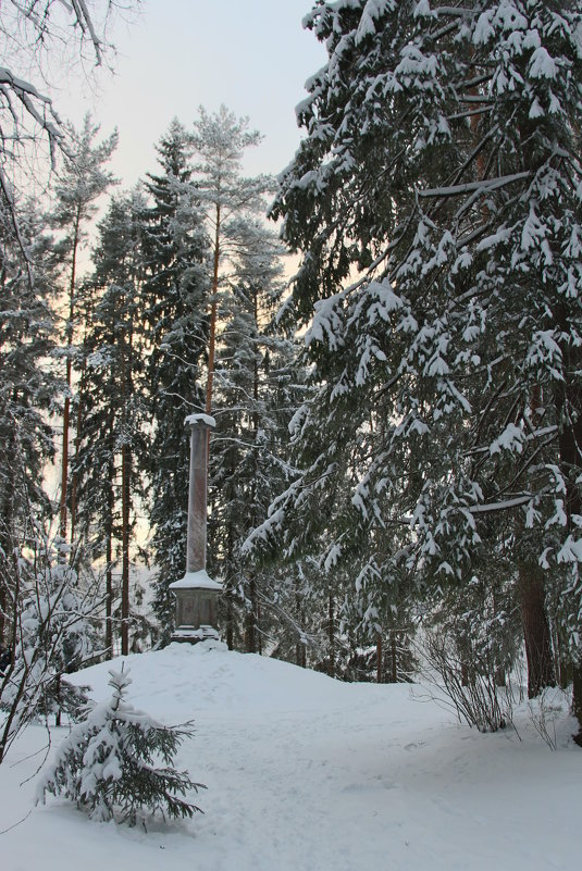 Зимний Павловск - Наталья Герасимова