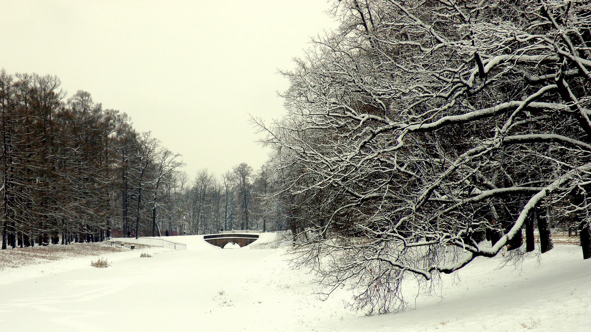В парке зимой - Сергей 
