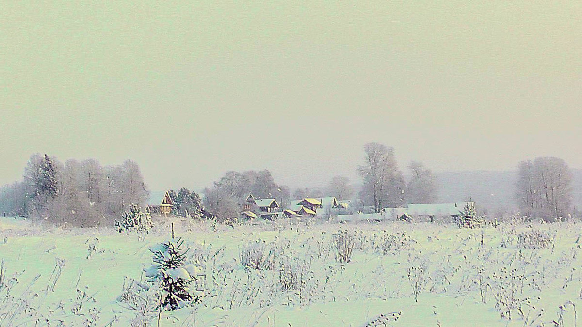Зимний сон в деревне - Александр 