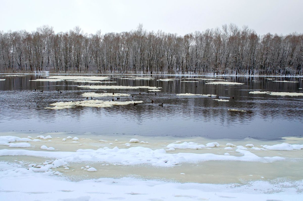 Река зимой - Сергей Тарабара