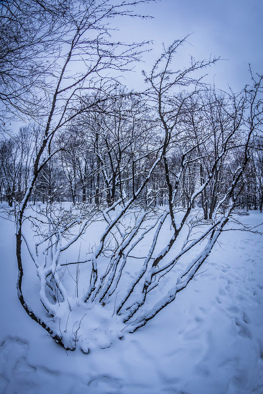 Зима в Коломенском - Игорь Герман
