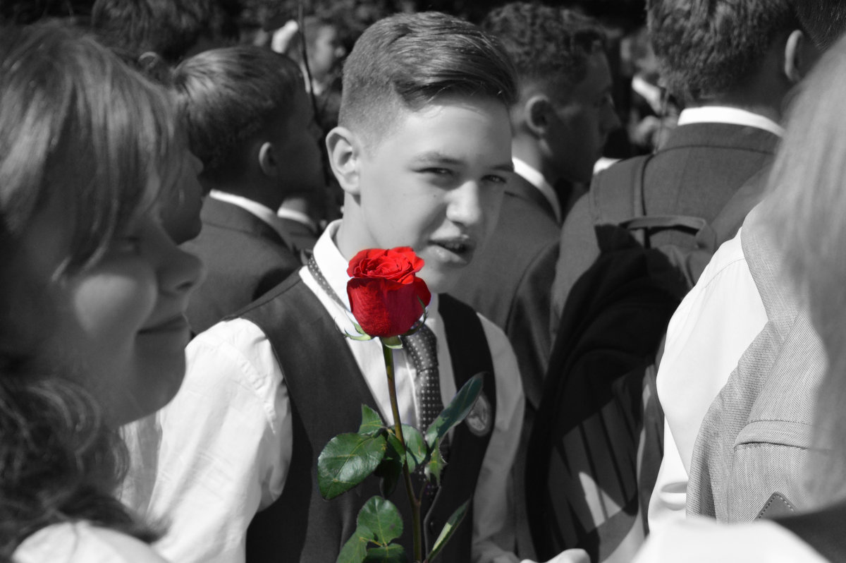 Роза для учителя - Владимир 