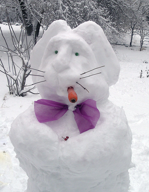 Снежный заяц - Alexander Varykhanov