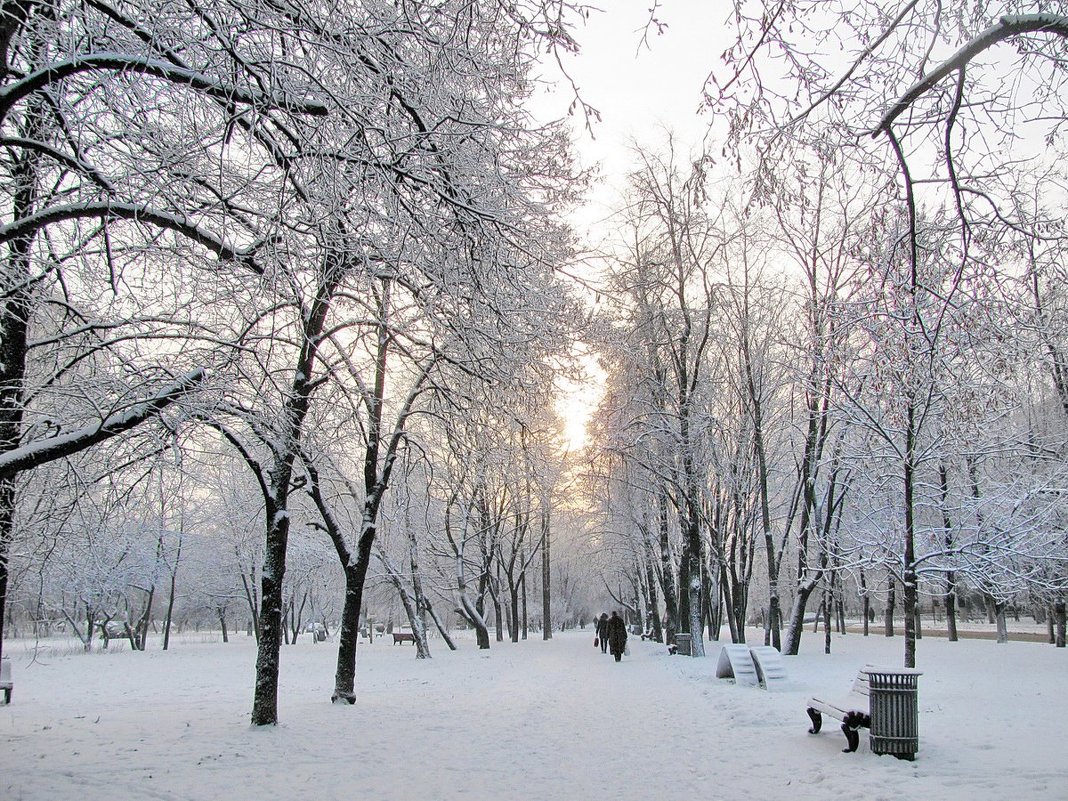 На бульваре - Татьяна Беляева