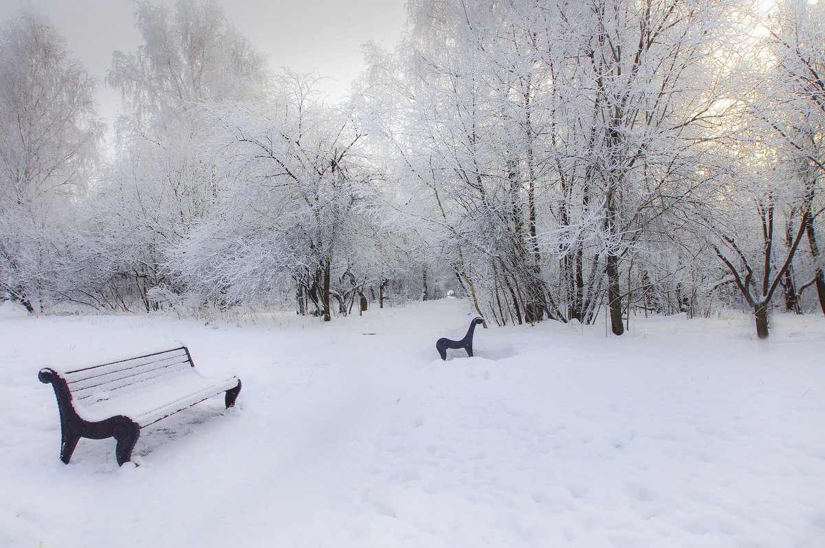 Морозный день декабря - Наталья Лакомова