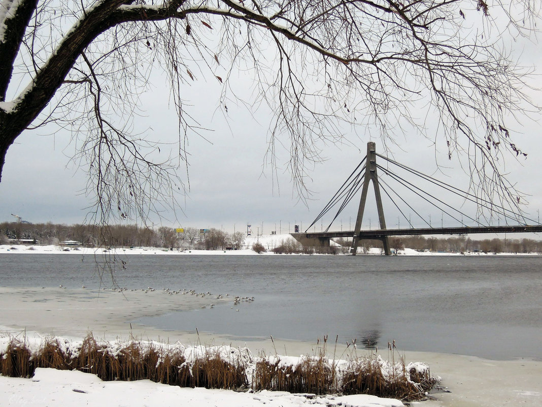 Зима. Московский мост (ныне - Северный) - Тамара Бедай 