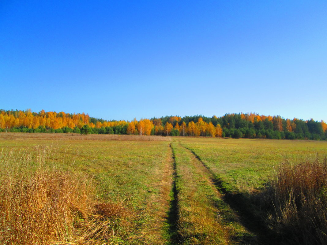Осенний пейзаж - Антон Завьялов