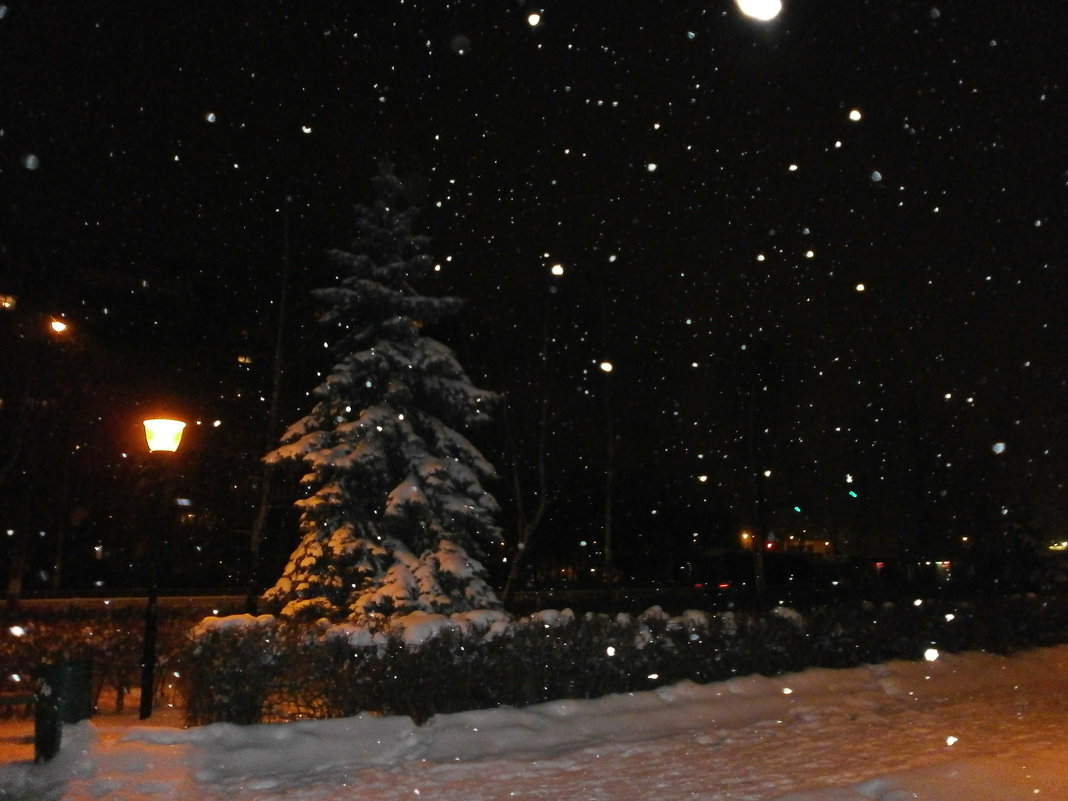 Зимняя ночь ... - Алёна Савина