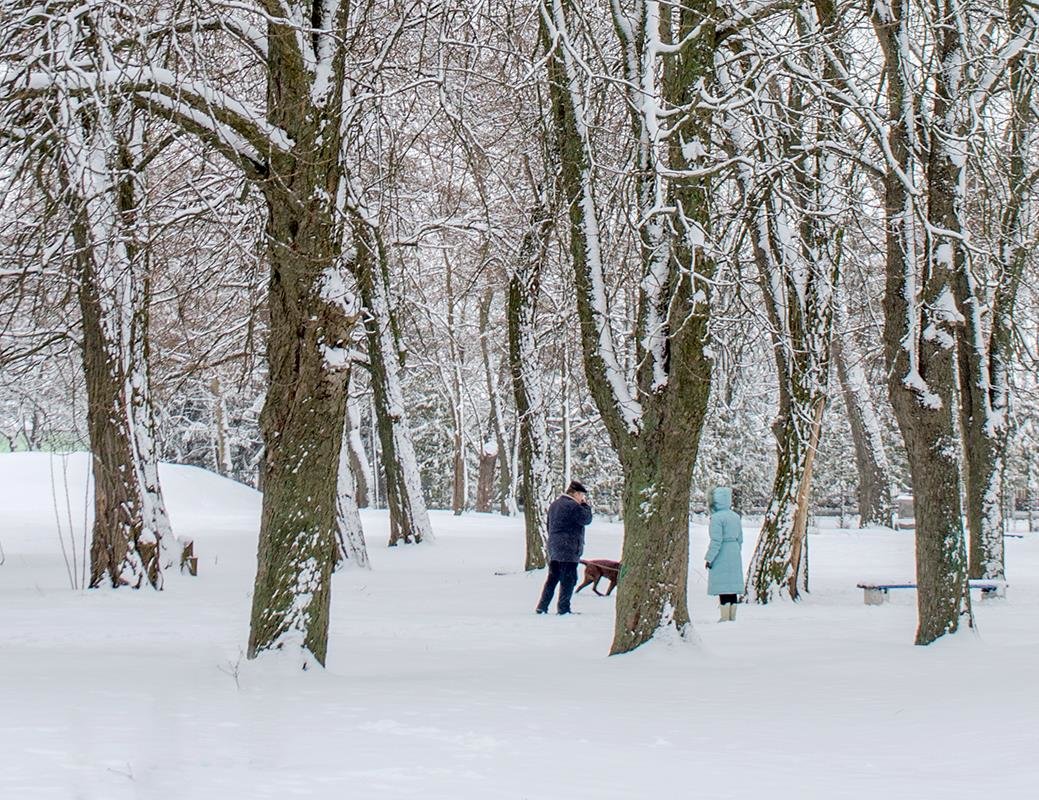 Прогулка в парке - Сергей Тарабара