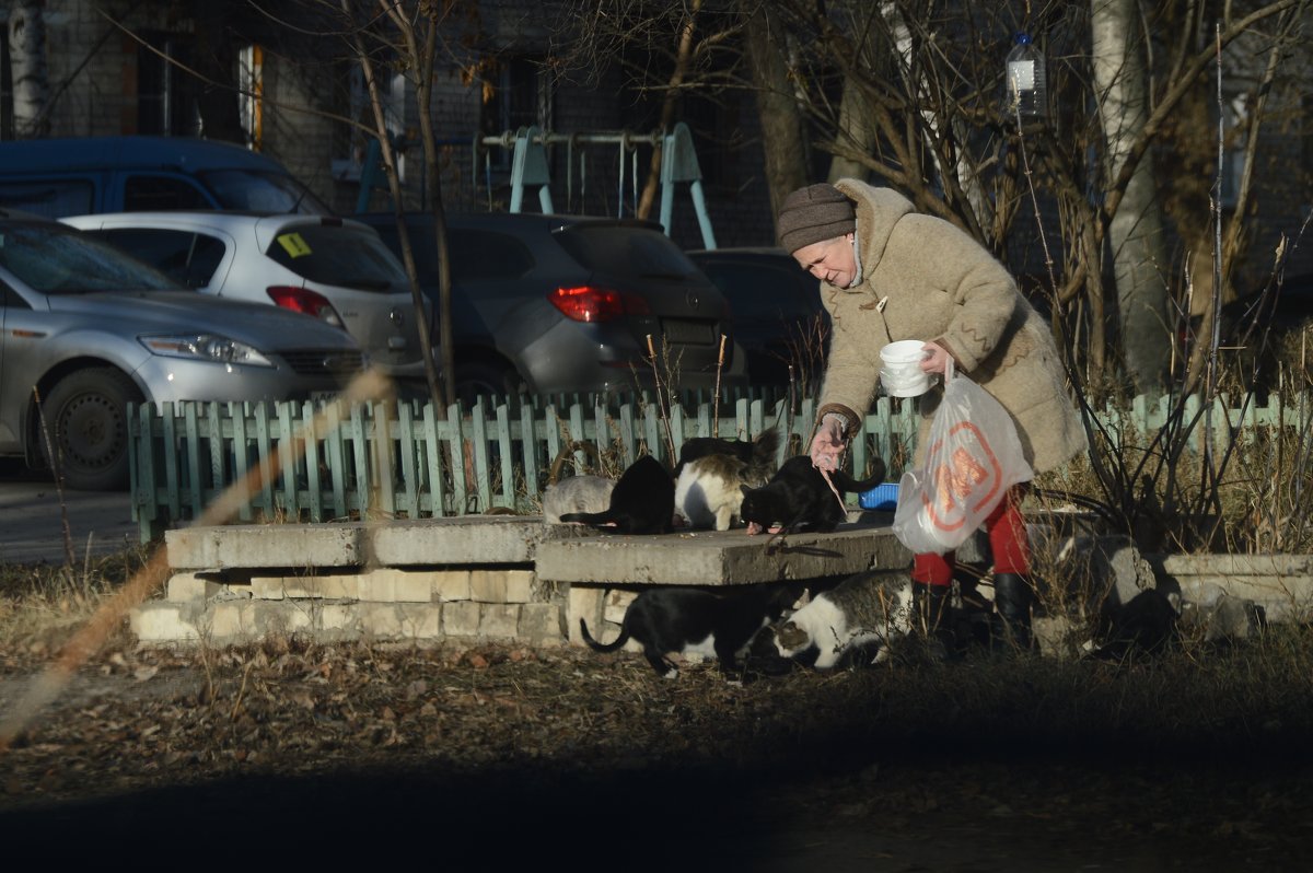 В городе N (3) - Павел 