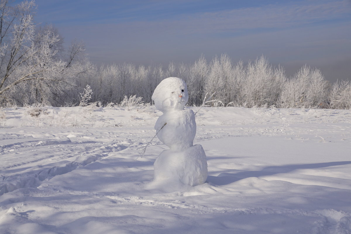 Привет от снеговика - Наталия Григорьева