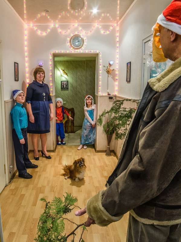 Когда Дед Мороз ёлку в дом к нам не принёс  (серия из 11 фото) - Ринат Валиев